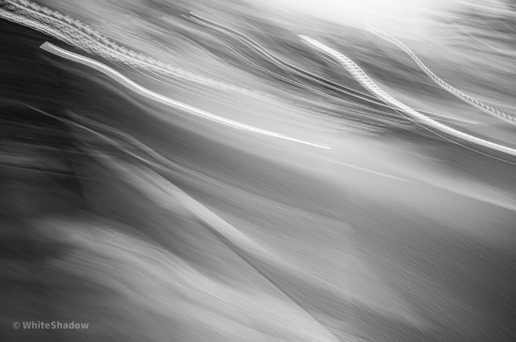 Whiteshadow Portrait